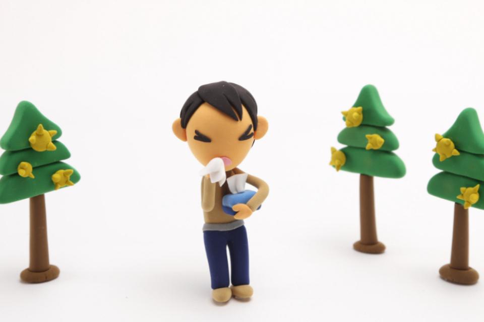 支援金の使い道の画像