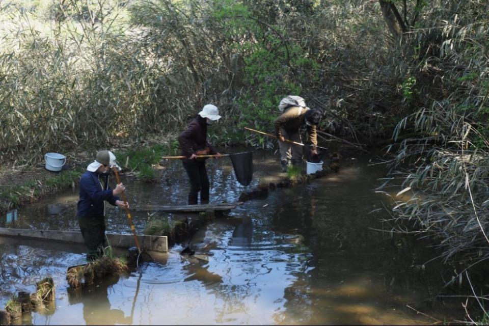 支援金の使い道の画像