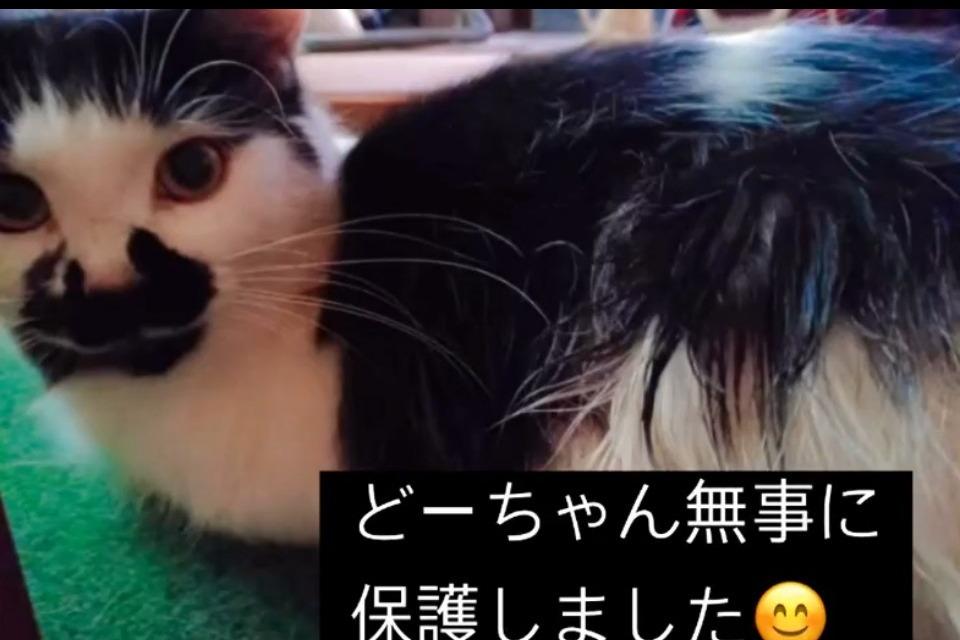 支援金の使い道の画像