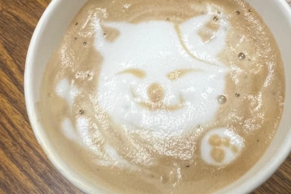支援金の使い道の画像