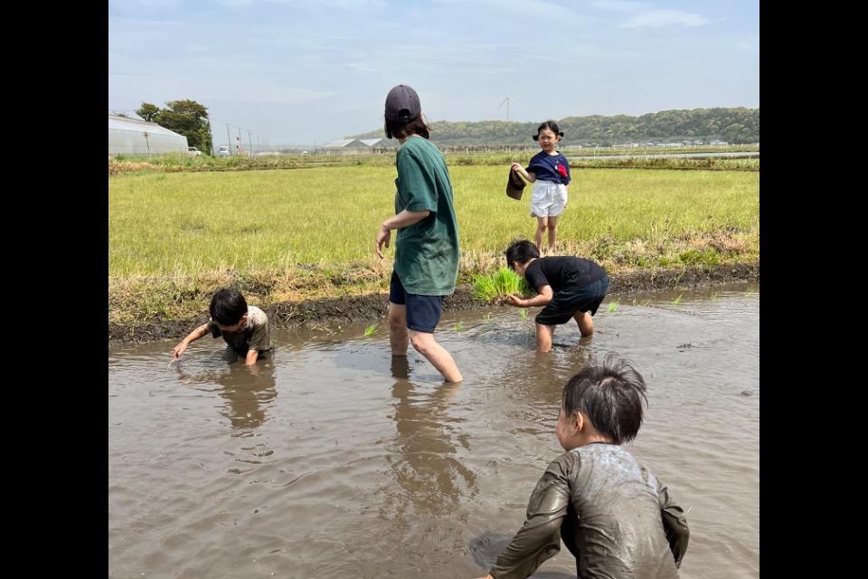 支援金の使い道の画像