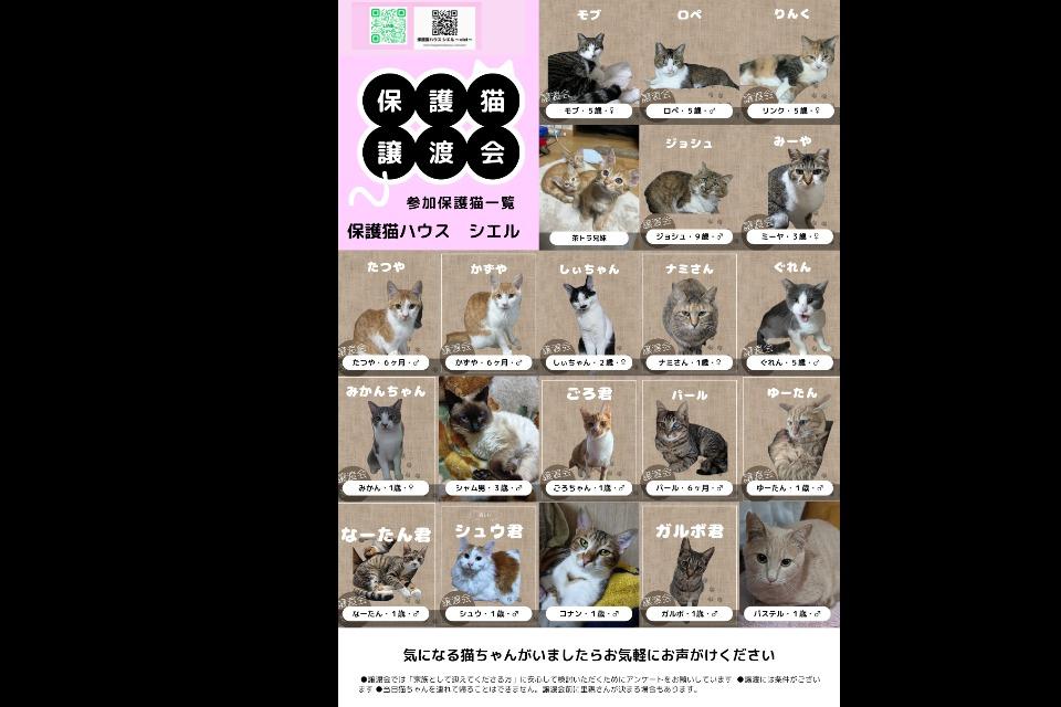 支援金の使い道の画像