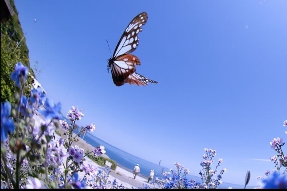 支援金の使い道の画像