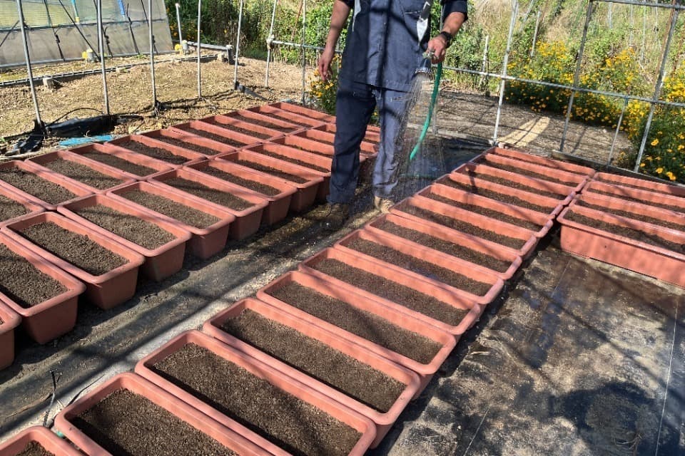 支援金の使い道の画像