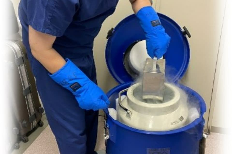 支援金の使い道の画像