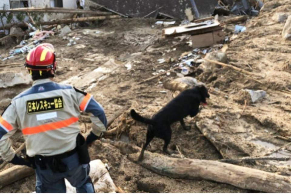 How support is used Image