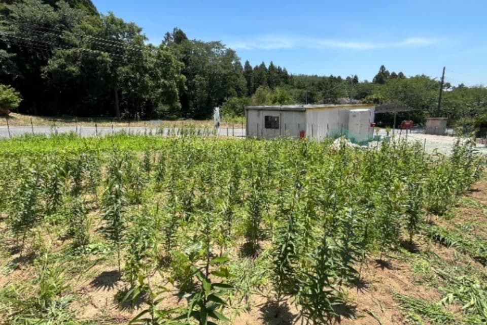 支援金の使い道の画像