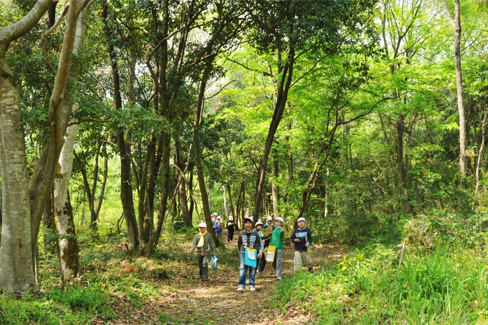 支援金の使い道の画像