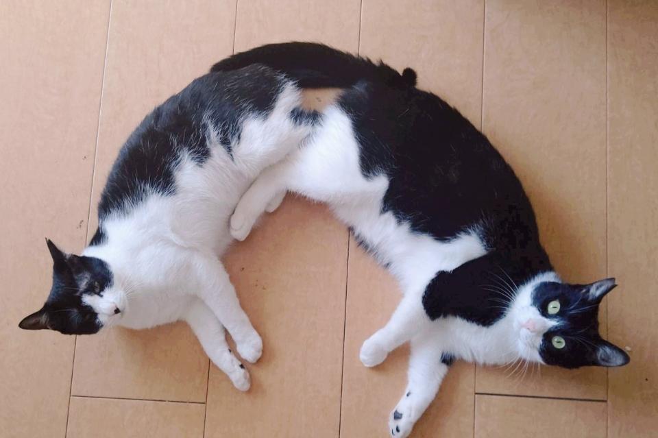 支援金の使い道の画像