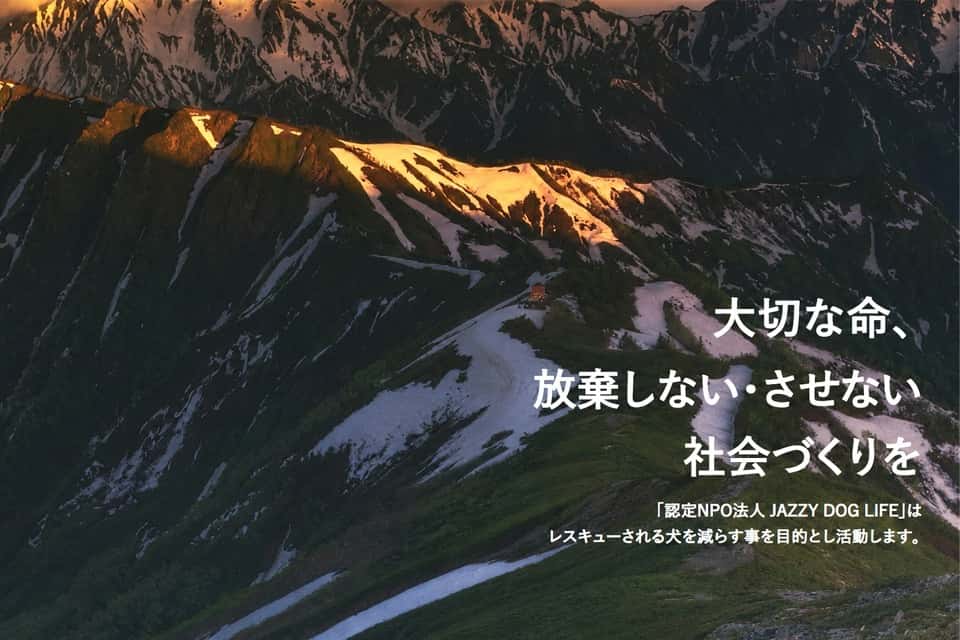 特定非営利活動法人JAZZY DOG LIFEの画像