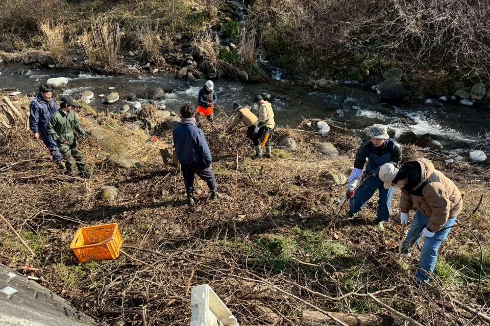100年後のヒコロイチの画像
