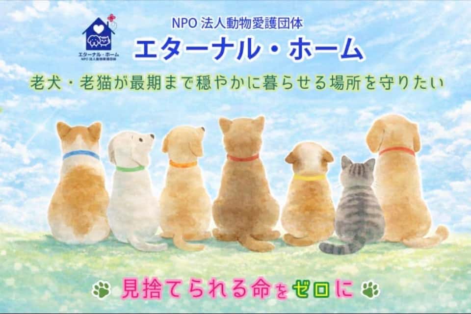 NPO法人動物愛護団体エターナル・ホームの画像