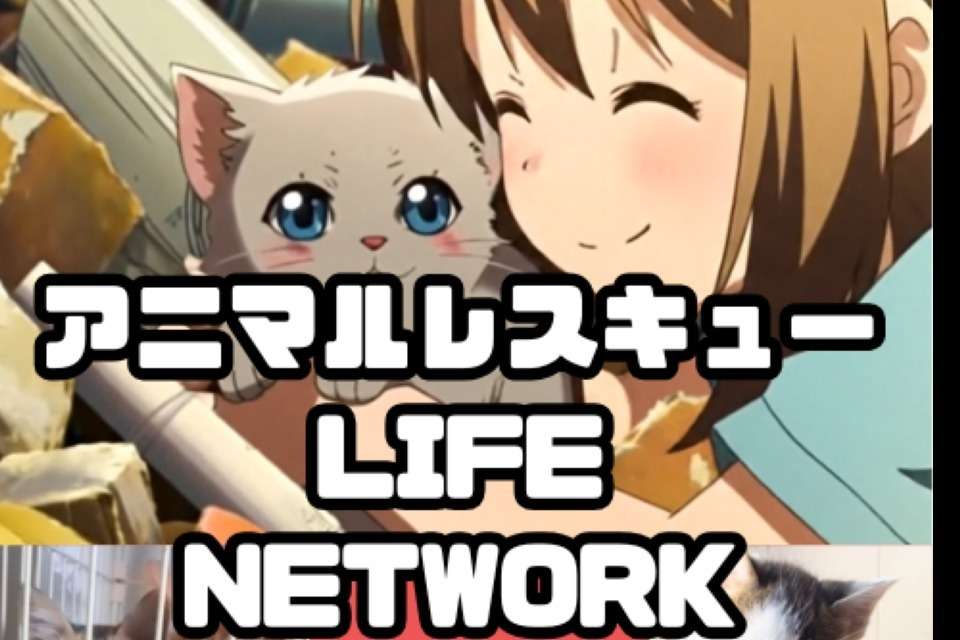 犬猫保護会LIFE NETWORKの画像