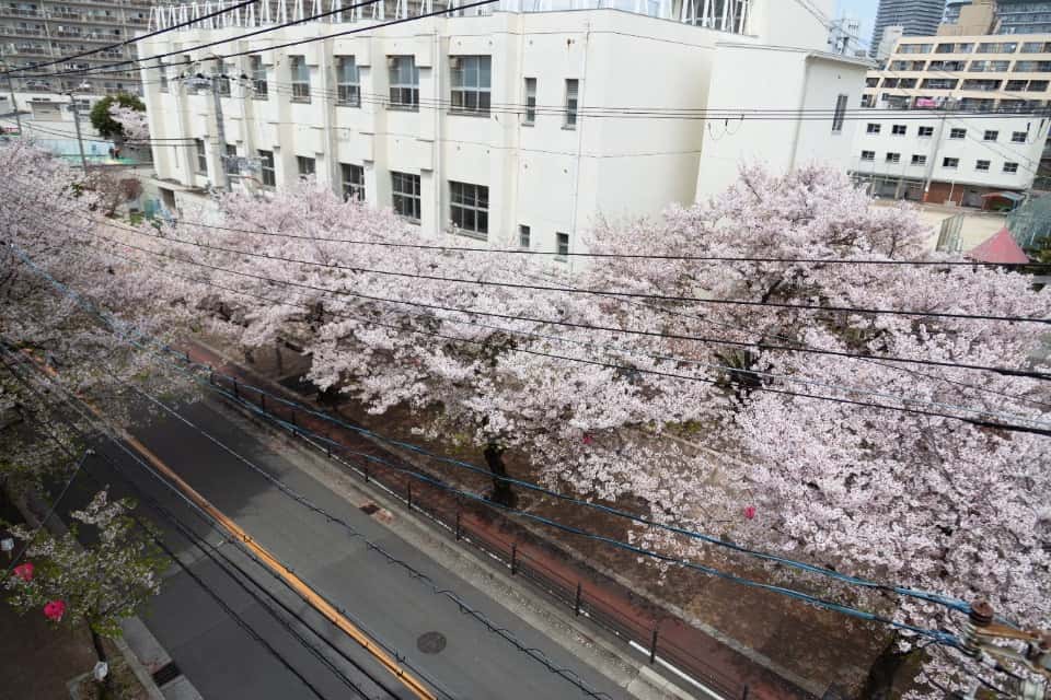 磯路みどりの会の画像