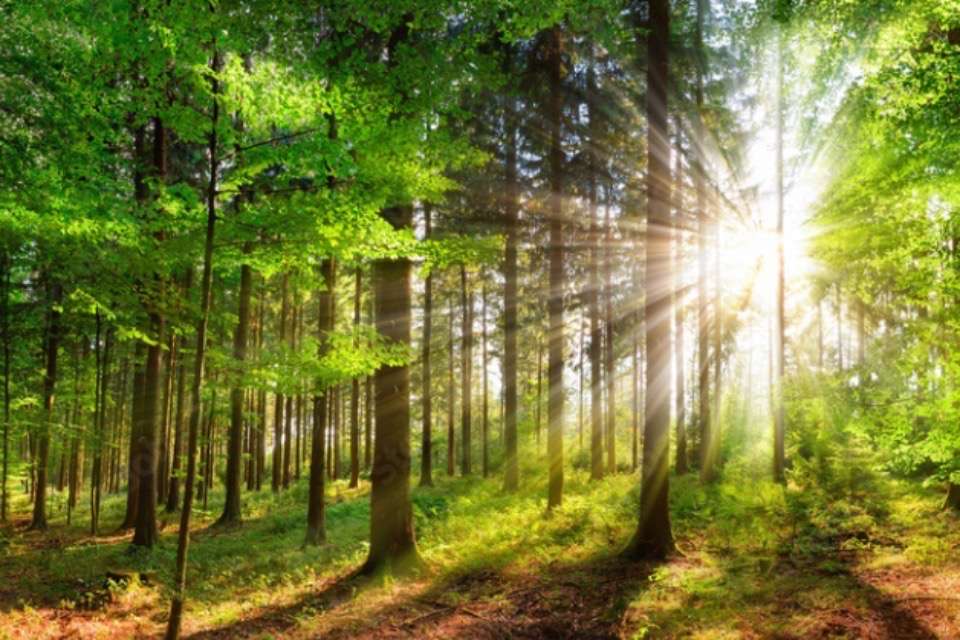 科学の泉の画像