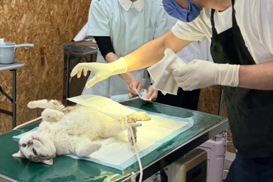 NPO法人まにわアニマルフレンドリーの画像