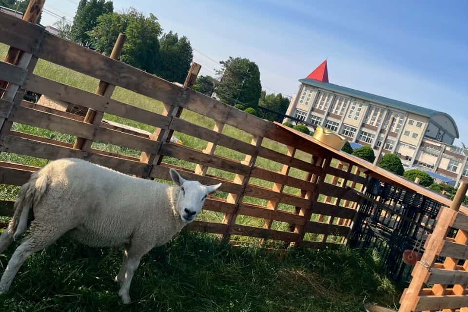 学びのさと自由が丘学園の画像