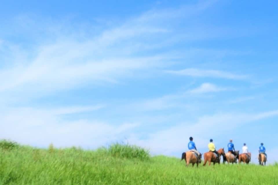 ハーモニィセンターの画像