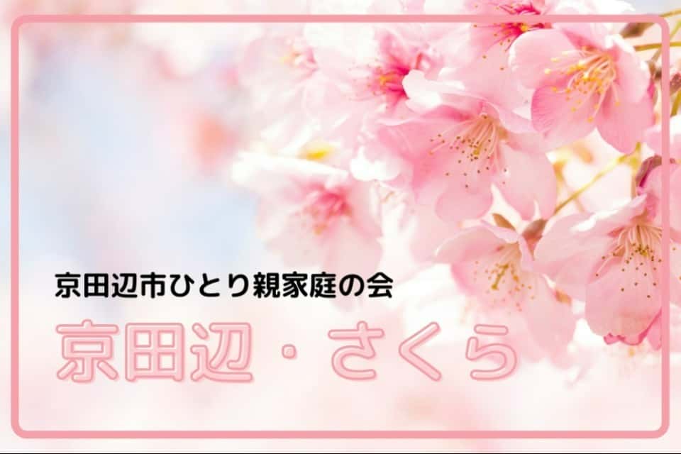 京田辺・さくらの画像