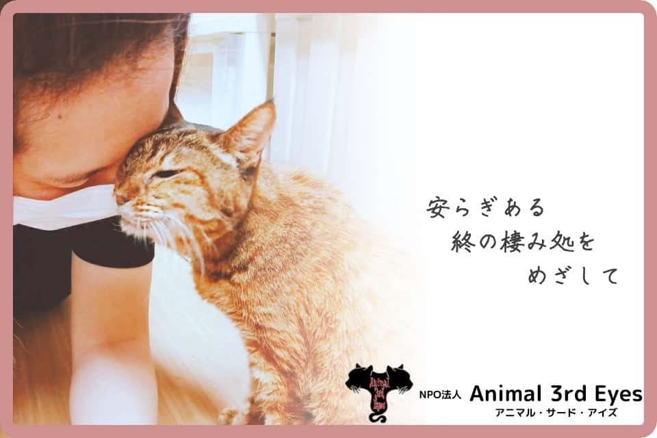 Animal3rdEyesの画像