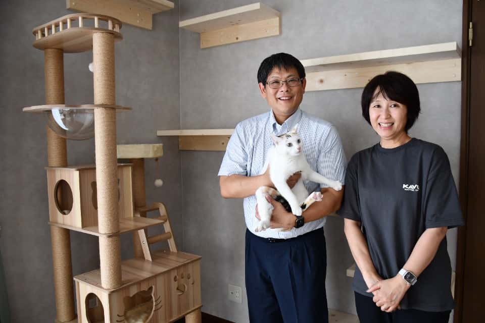 猫の森の画像