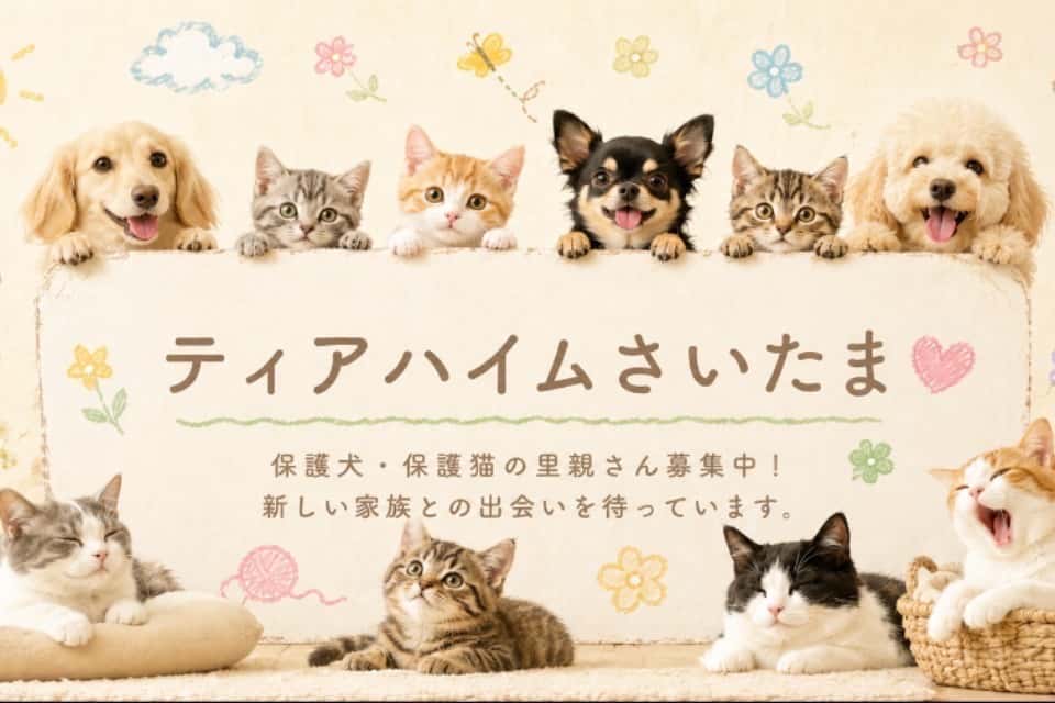 ティアハイムさいたま(NPO法人シリウス)の画像