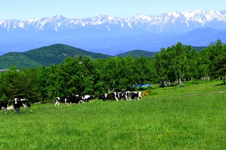 根子岳・四阿山保全協議会の画像