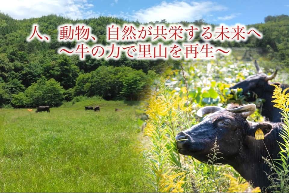 ふるさとと心を守る友の会の画像