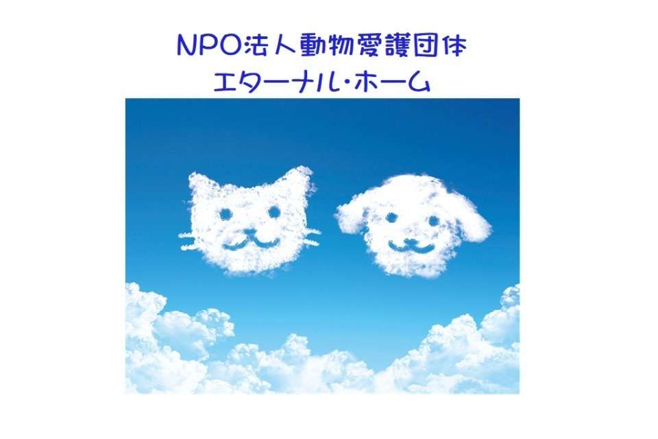 NPO法人動物愛護団体エターナル・ホームの画像