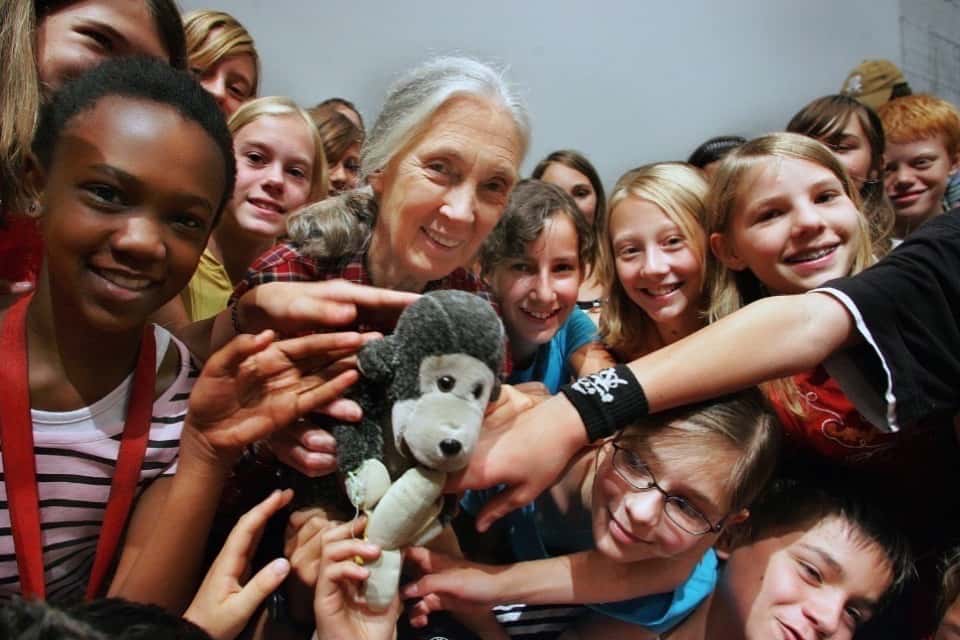 Jane Goodall Institute Japanの画像
