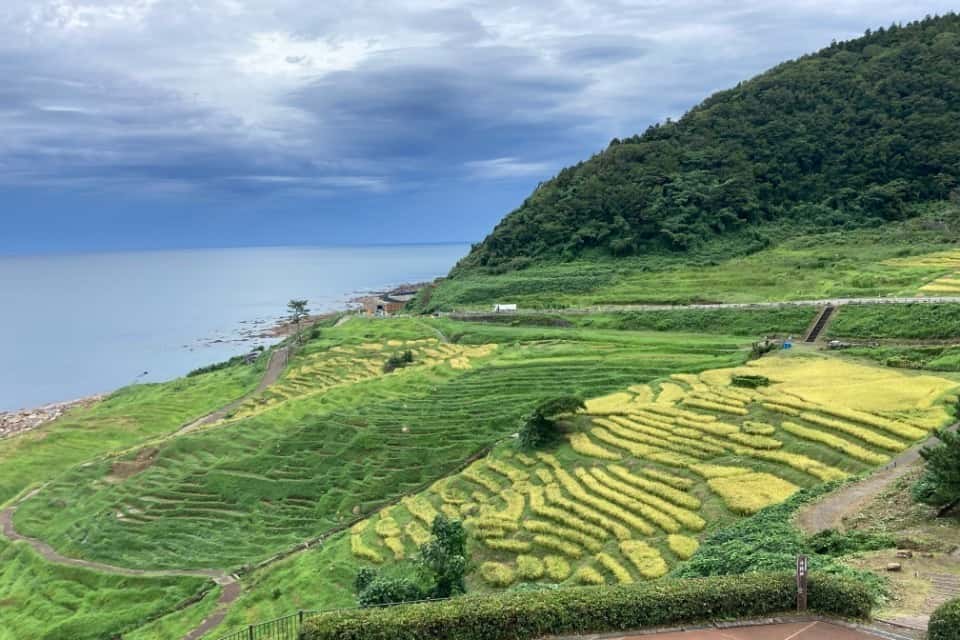 白米千枚田愛耕会の画像
