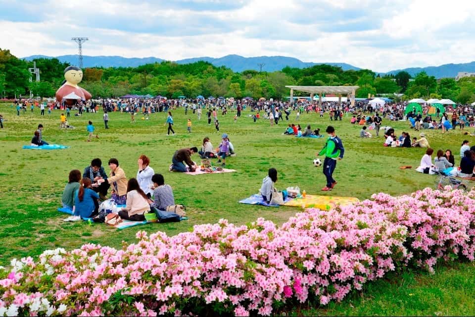 公益財団法人 京都市都市緑化協会の画像