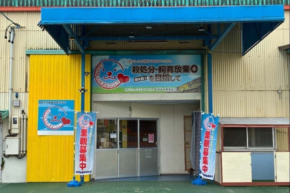 特定非営利活動法人保護譲渡推進協会(屋号)わんにゃんさとおや会の画像