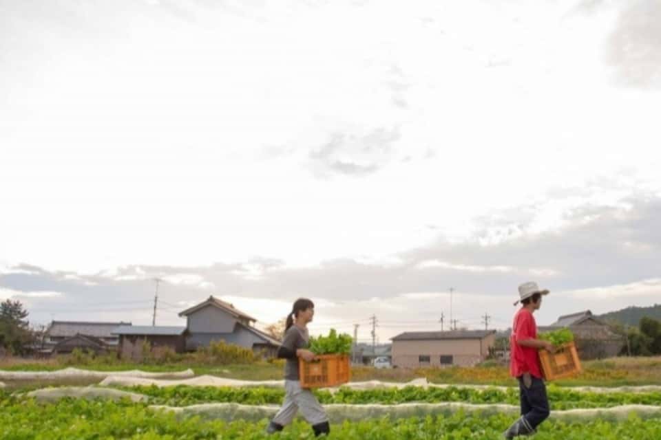 愛農学園農業高等学校(AINOネイバーズ)の画像
