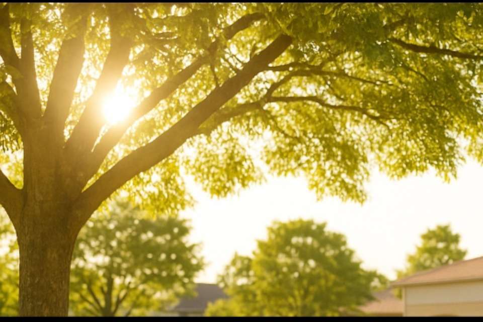 一般社団法人地域創研協会の画像