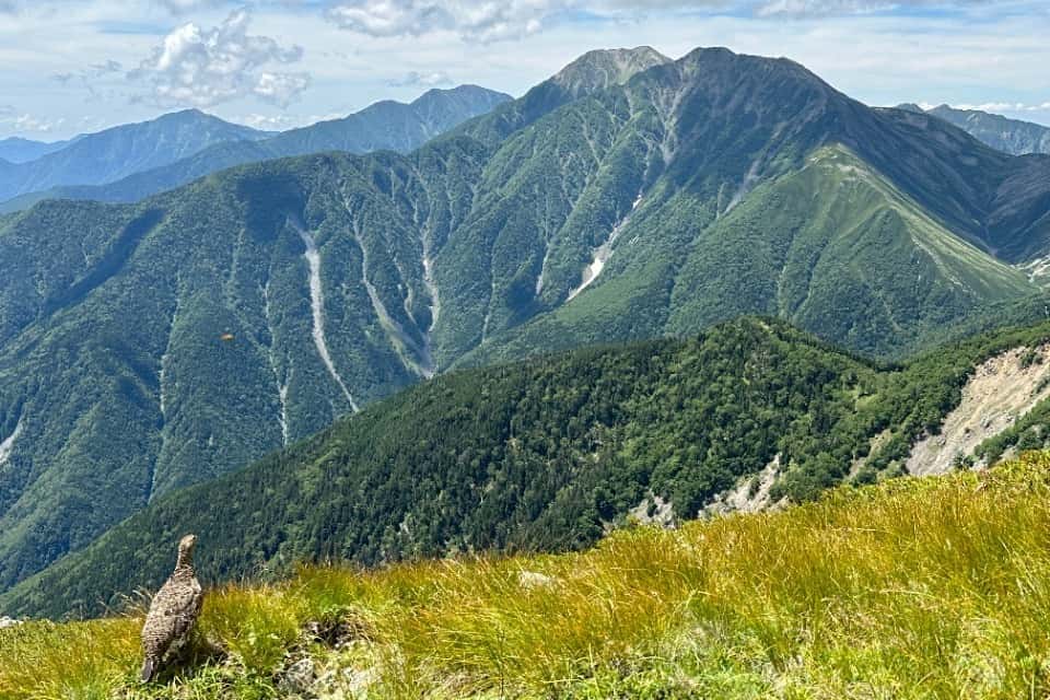 南アルプスみらい財団の画像