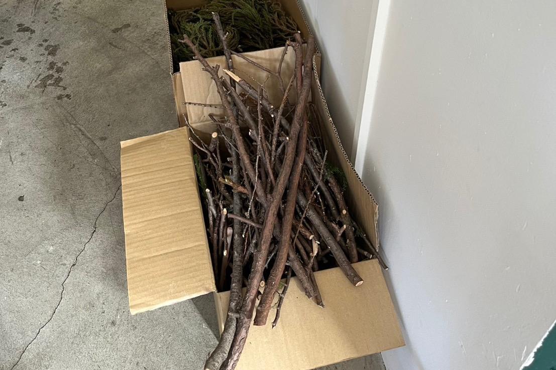 プロジェクトのその後、枝葉の行き先のメインビジュアル