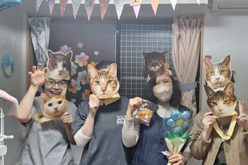 💖バースデー・ドネーションあと3日 💖保護猫たちの誕生日開催中 幸せをありがとうのメインビジュアル