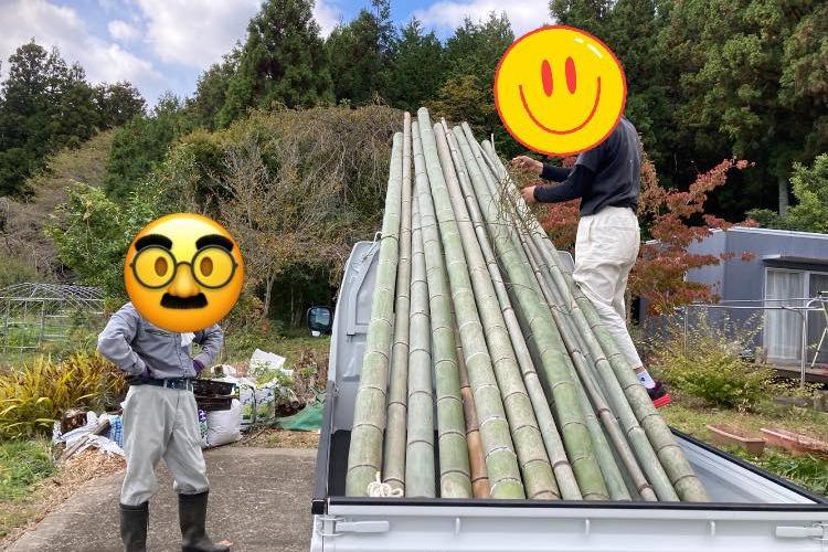 11/2の準備!で竹を取りに行きました~のメインビジュアル