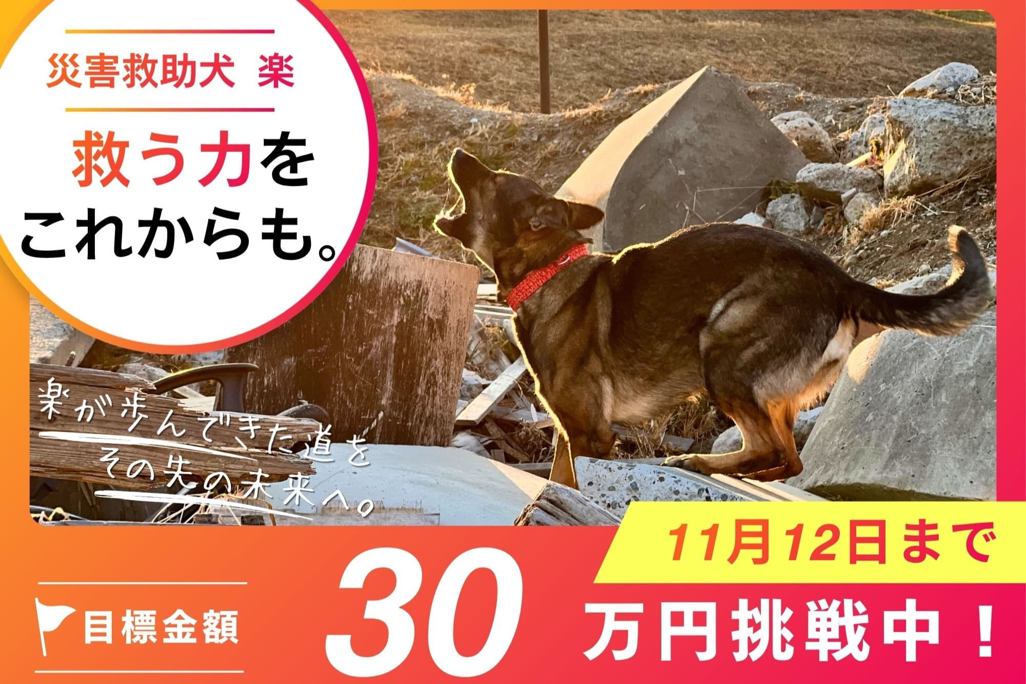 楽のバースデードネーションが始まりました!のメインビジュアル