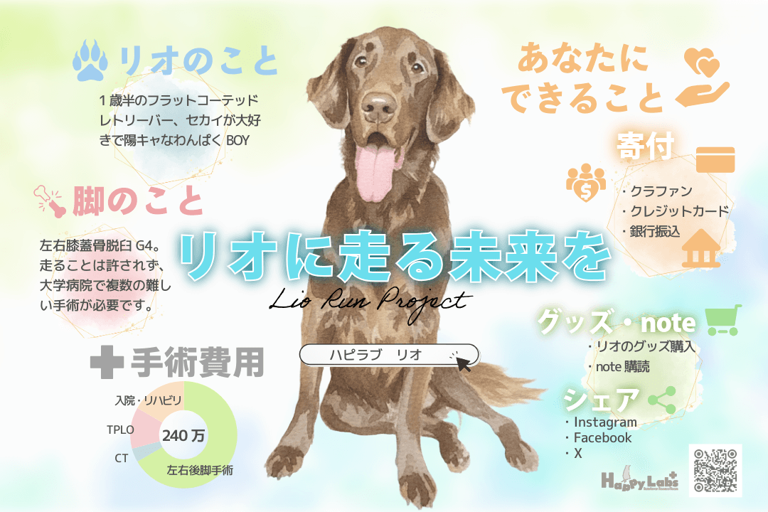 リオ・ラン・プロジェクト〜保護犬リオの膝蓋骨脱臼手術応援プロジェクトが始動しました。のメインビジュアル