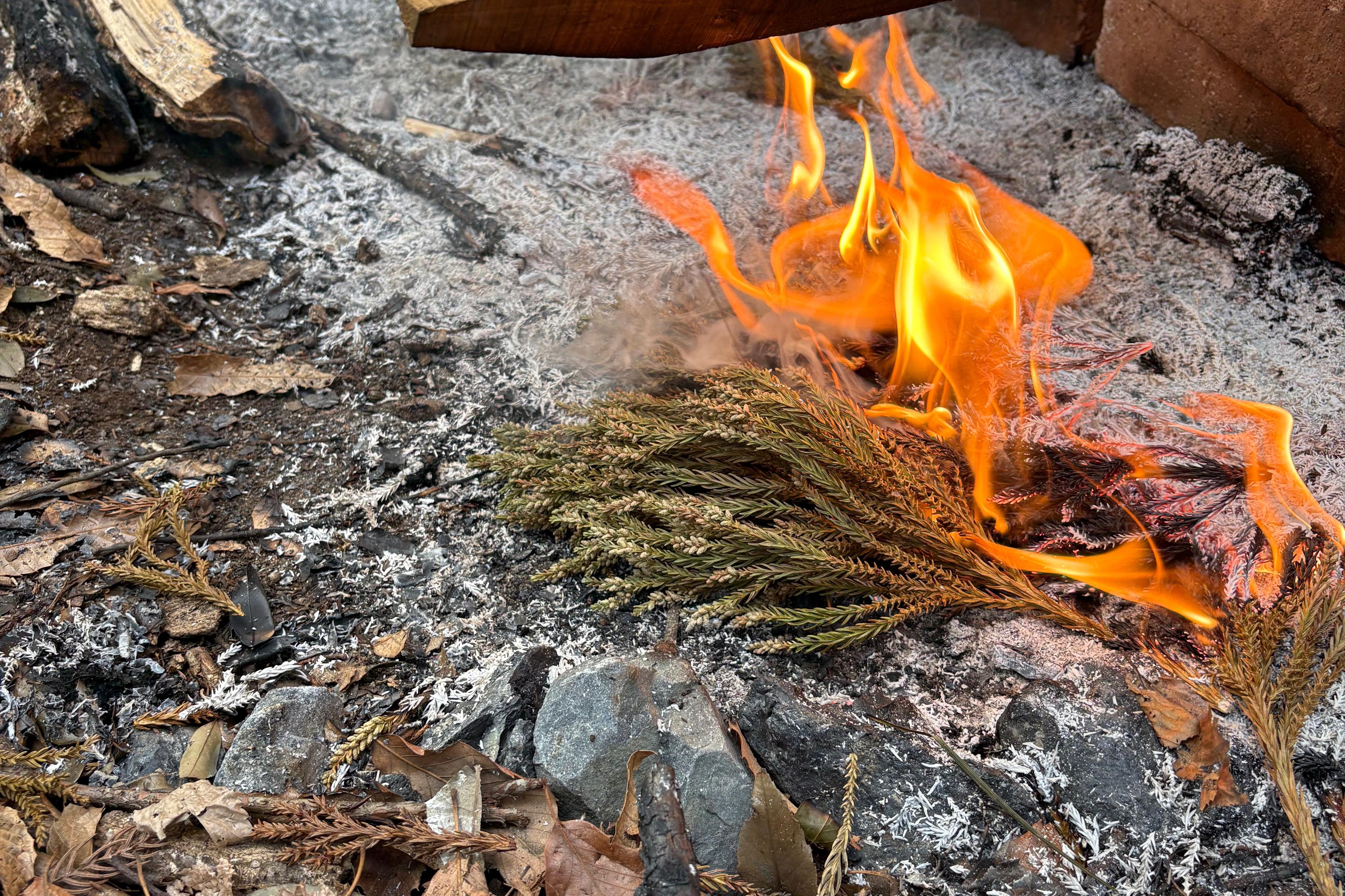 プロジェクトのその後、枝葉の活用法のメインビジュアル