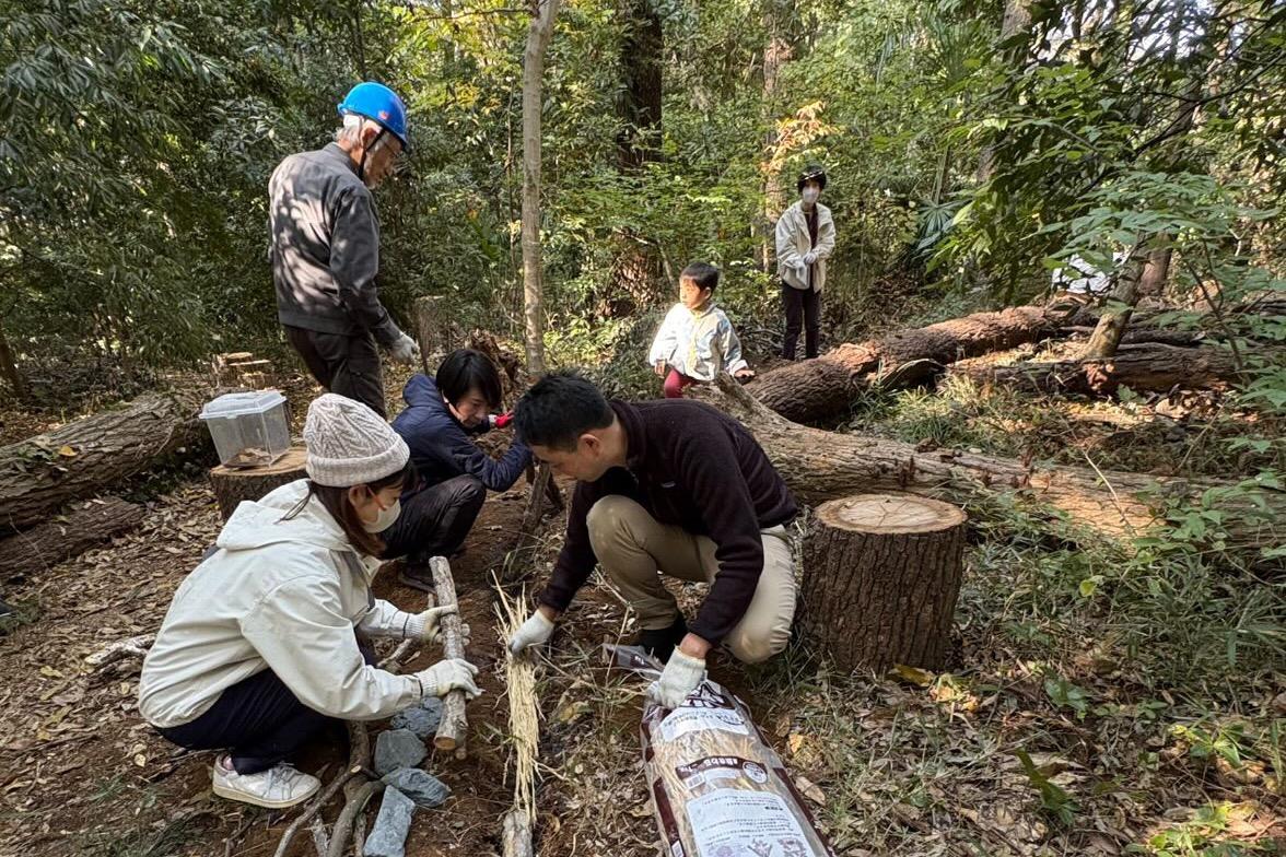 プロジェクトのその後、森のお手入れのメインビジュアル