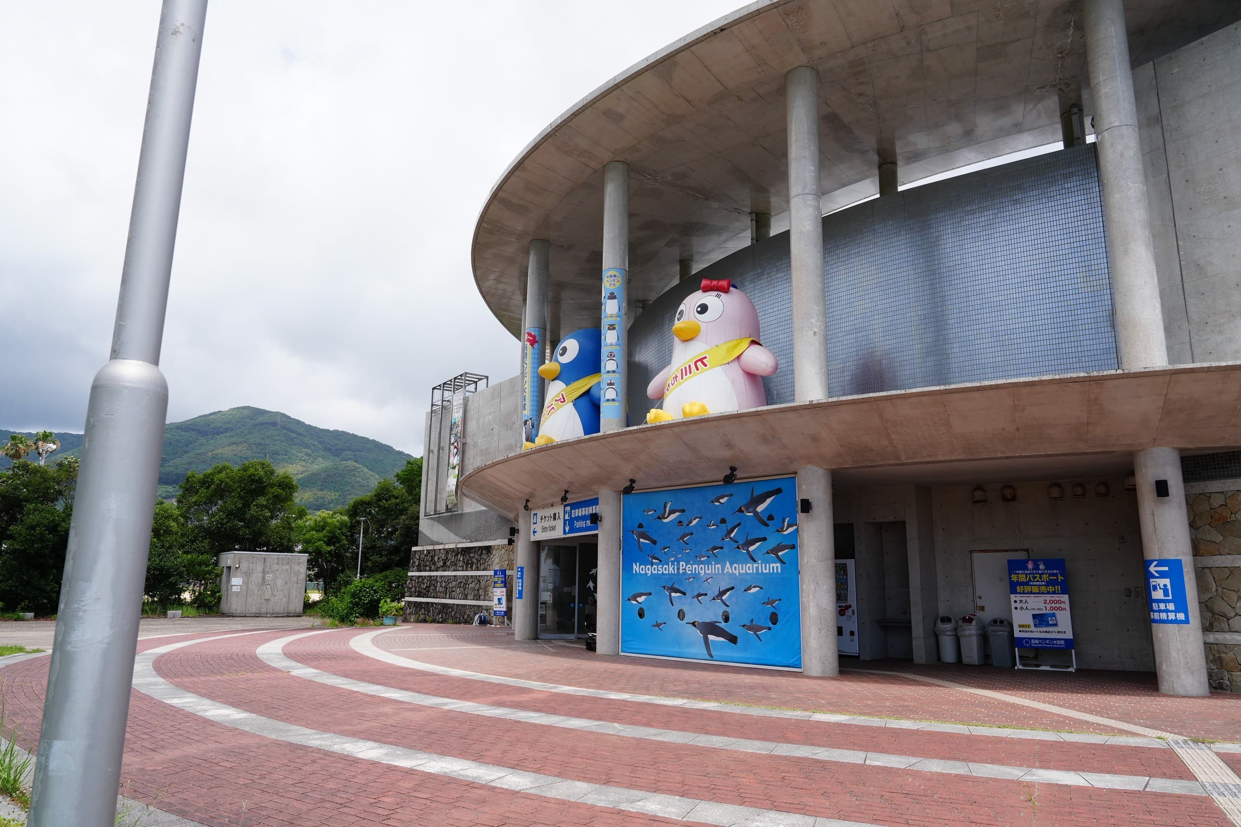 長崎ペンギン水族館様と打合せのメインビジュアル