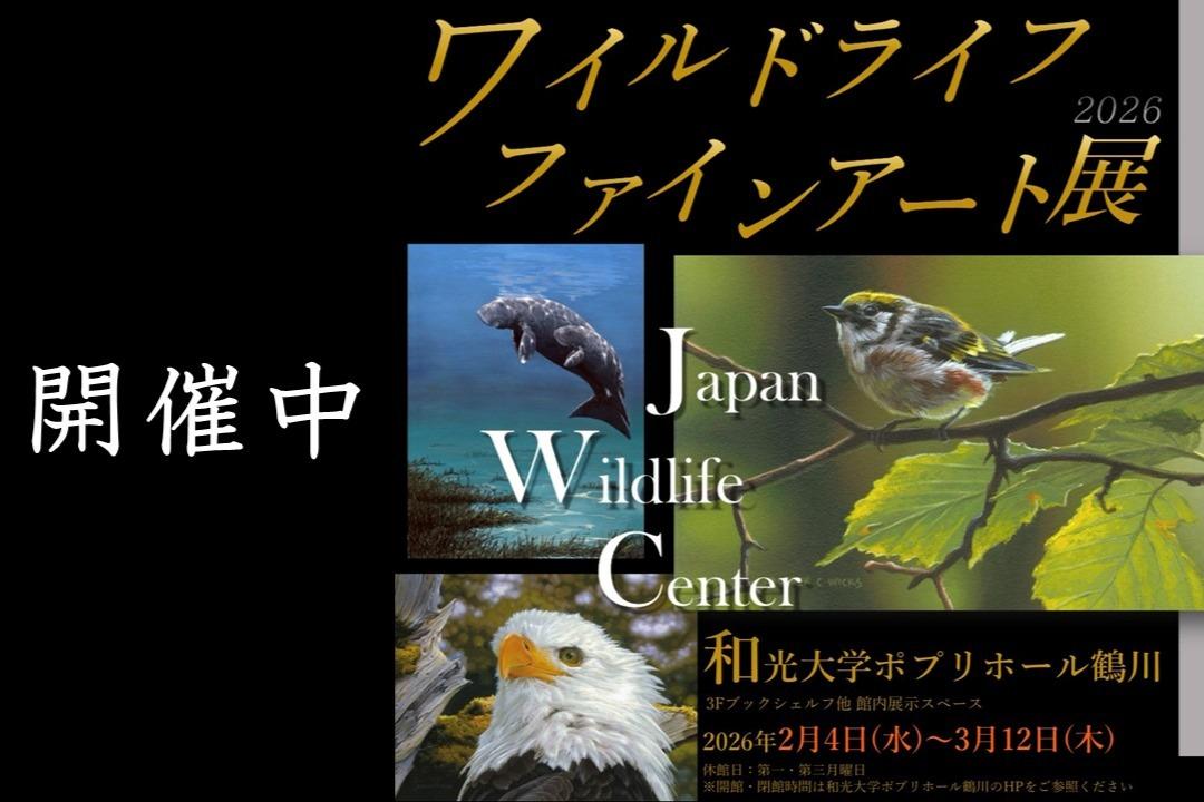【イベント情報】ワイルドライフファインアート展開催中!【ポプリホール鶴川】のメインビジュアル