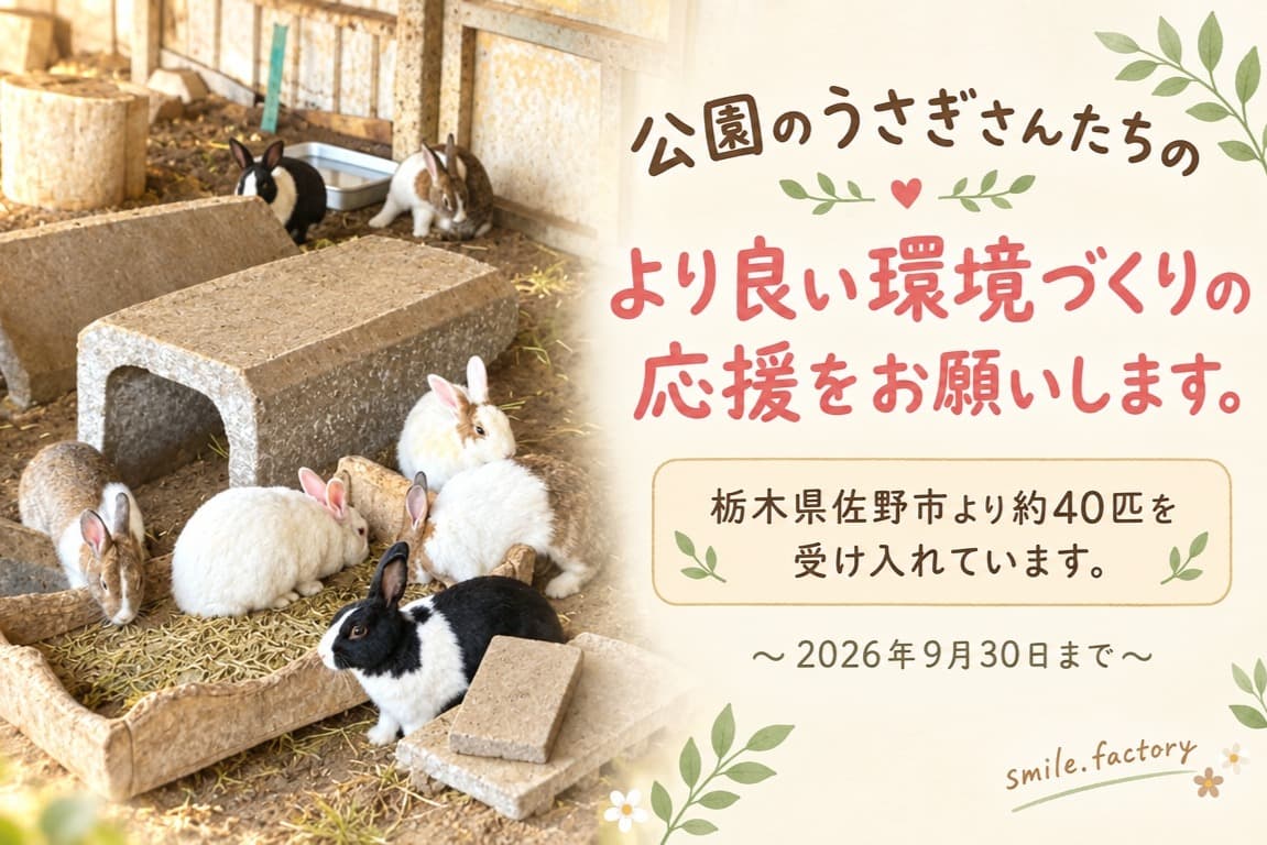 公園で暮らしてきたうさぎたちを、「おうちの子」へ| 栃木県佐野市から始まる、新しい家族探し Image