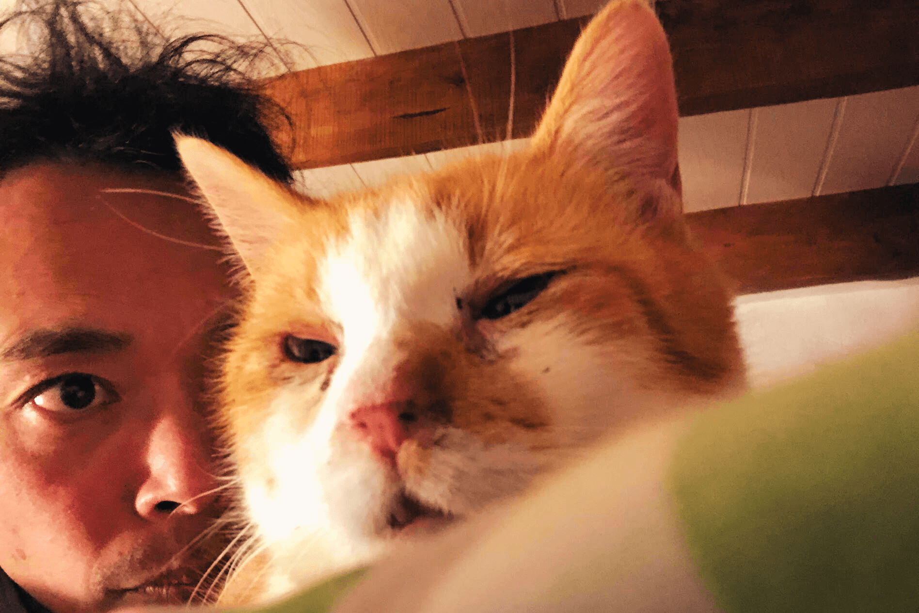 動物の権利を実現する仲間を増やしたい!〜目黒峰人のバースデードネーション〜の画像