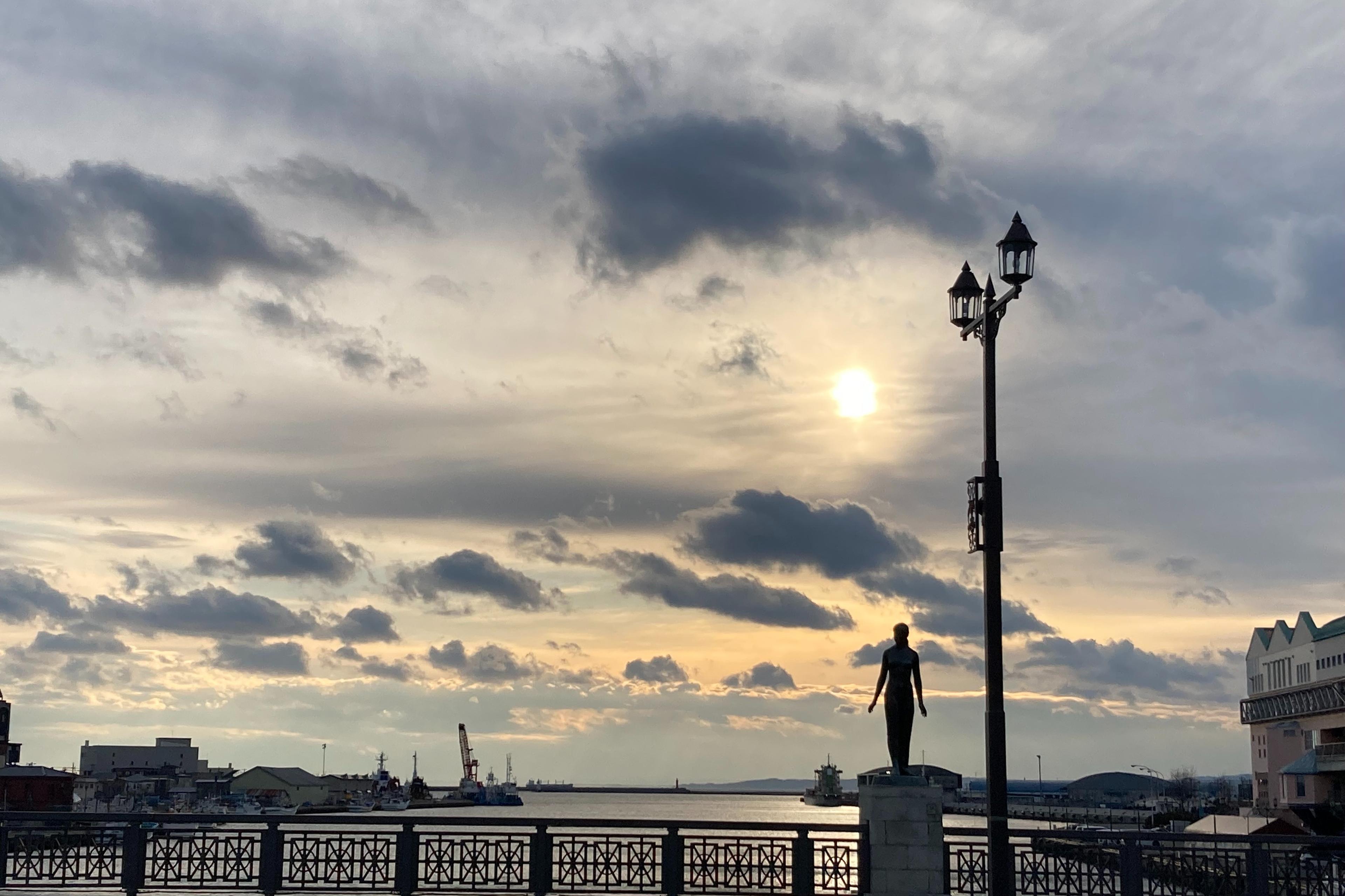 Birthday Donation Fundraiser for Palestineの画像