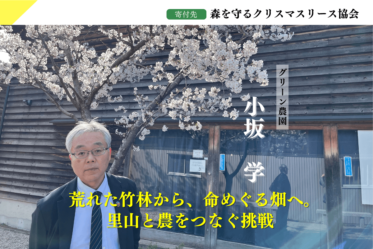 【石川の森応援ページ】50年後100年後の子供たちに豊かな森を残したい!能登・金沢・加賀から届けます!のサポートページです。の画像