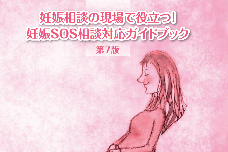 ガイドブック購入ページの画像